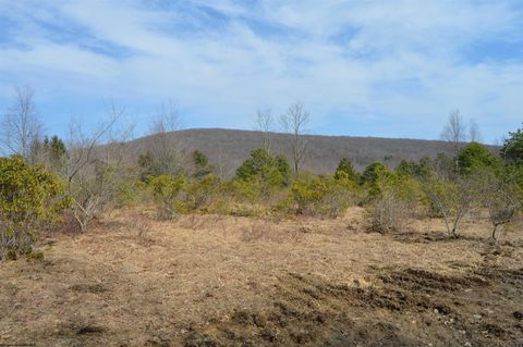 Photo of Lot 4 Grosbeak Drive, Terra Alta, WV 26764 (MLS # 10158809)