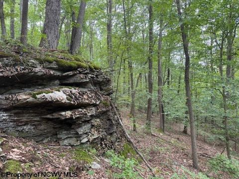 Photo of TBD Simpson Road, Belington, WV 26250 (MLS # 10161449)