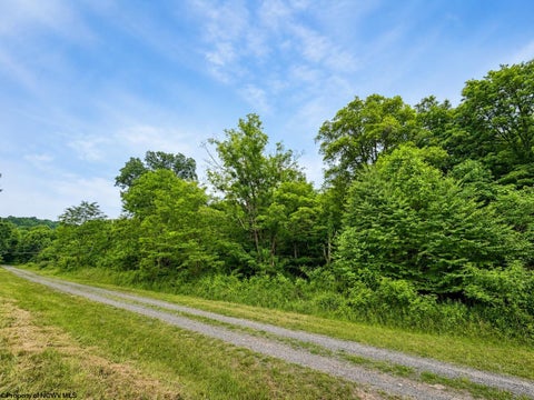 Photo of Lot 12 Iron Horse Lane, Dryfork, WV 26263 (MLS # 10165307)