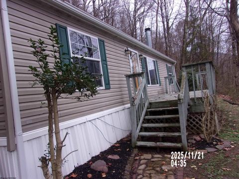 Photo of 1021 HENDRICKS HILL Road, Hendricks, WV 26271 (MLS # 10162576)