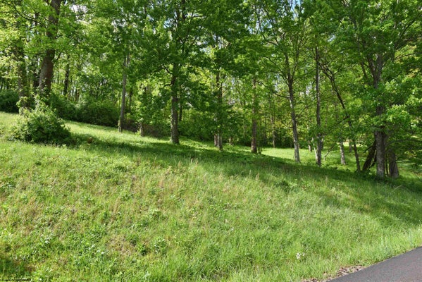 17 DIAMOND COVE RD, BRIDGEPORT, WV 26330 - Image bbd2d4a36689343e7be167e76cbf3cad/3832313153