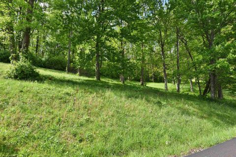 Photo of Lot 17 Diamond Cove, Bridgeport, WV 26330 (MLS # 10164787)