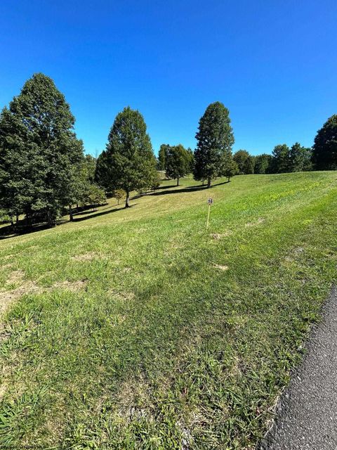 Photo of Lot 16 Countryside Drive, Buckhannon, WV 26201 (MLS # 10150915)