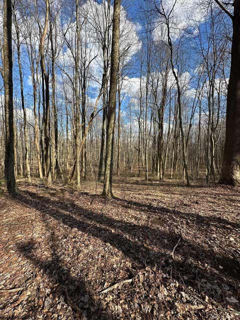 Photo of 1870 Ludwig Road, Grafton, WV 26354 (MLS # 10165943)