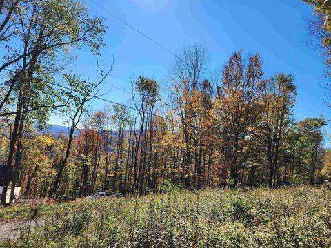 Photo of 22 E Meadows Road, Harman, WV 26270 (MLS # 10157158)
