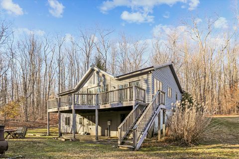 Photo of 96 Sunfish Court, Davis, WV 26260 (MLS # 10162546)