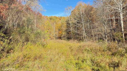 Photo of TBD Tenmile Road, Wallace, WV 26448 (MLS # 10162207)