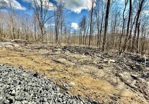 Photo of Lot 7 Brooklyn Way, Moatsville, WV 26405 (MLS # 10163866)