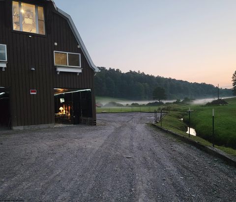 Photo of TBD Carter Road, French Creek, WV 26218 (MLS # 10161899)