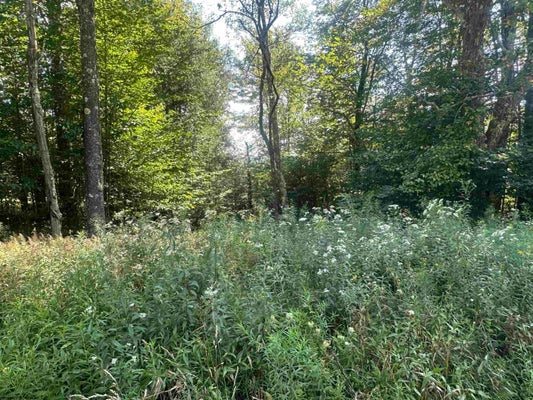 99 LIRA LN, DAVIS, WV 26260 - Image c07aeebd28989c649c6db4a50e5c5b4e/283945552