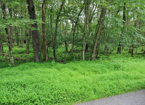 Photo of 94 E ALPINE Drive LOT 94 LUZERNE SEC, Terra Alta, WV 26764 (MLS # 10160789)