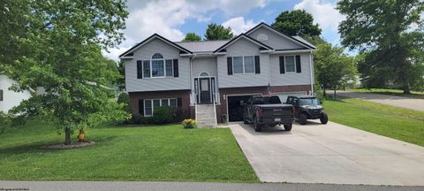 Photo of 94 Tygart Drive, Philippi, WV 26416 (MLS # 10165348)