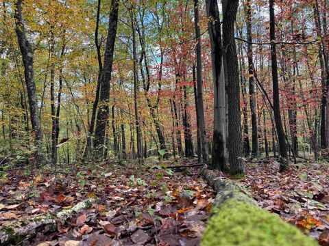 Photo of Lot 175 Aster Drive, Terra Alta, WV 26764 (MLS # 10161987)