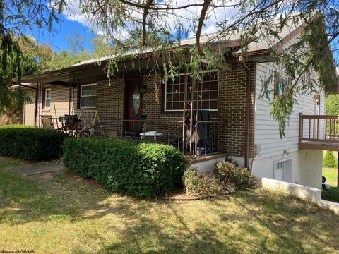 Photo of 80 Adolph Road, Mill Creek, WV 26280 (MLS # 10161782)