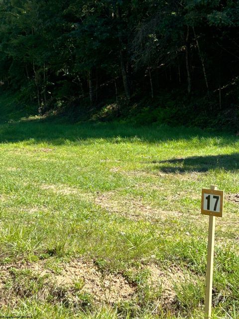 Photo of Lot 17 Countryside Drive, Buckhannon, WV 26201 (MLS # 10150916)