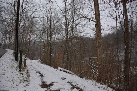 Photo of TBD Sand Fork Road, Roanoke, WV 26447 (MLS # 10162741)