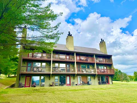 Photo of 121 Grizzly WAY #Unit, Davis, WV 26260 (MLS # 10166305)