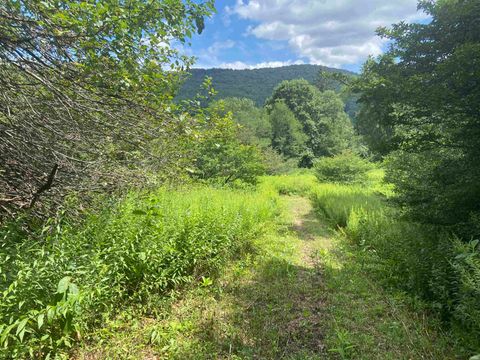 Photo of Lot 135 Sunset Mountain Village Drive, Slaty Fork, WV 26291 (MLS # 10160905)