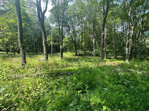 Photo of Lot 225 Woodbine Drive, Terra Alta, WV 26764 (MLS # 10156141)