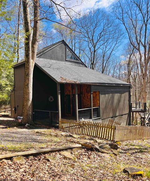 Photo of 952 Rhododendron Drive, Terra Alta, WV 26764 (MLS # 10163343)