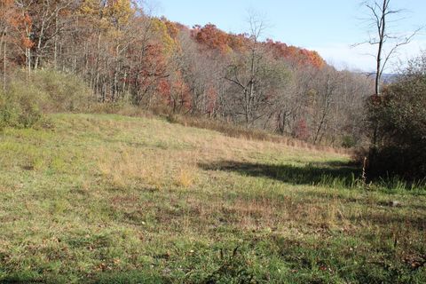 Photo of Lot 11 Sand Bank Heights Road, Masontown, WV 26542 (MLS # 10162409)