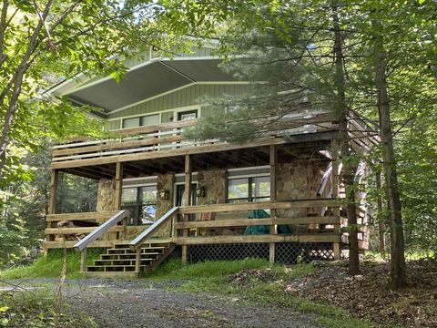 Photo of 373 Mountainside Road, Davis, WV 26260 (MLS # 10161634)
