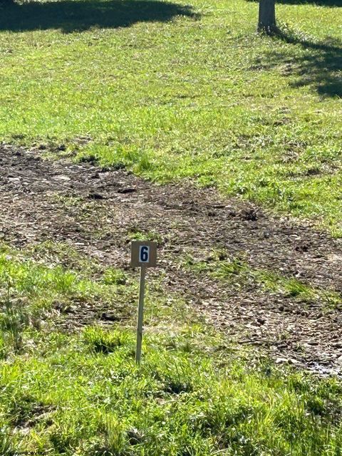 Photo of Lot 6 Countryside Drive, Buckhannon, WV 26201 (MLS # 10150912)