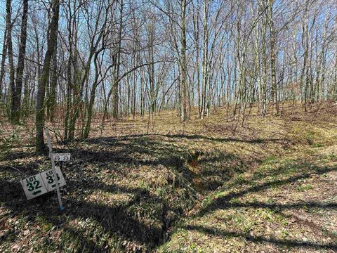 Photo of TBD Silver Oak Lane, Belington, WV 26250 (MLS # 10163772)