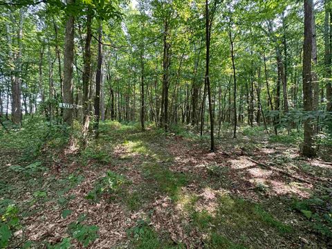 Photo of Lot 32 Oak Drive, Albright, WV 26519 (MLS # 10158848)