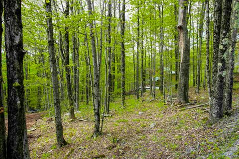 Photo of 99 Fern Lane, Davis, WV 26260 (MLS # 10164854)