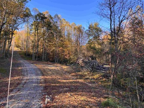 Photo of Lot 16 Island Road, Junior, WV 26275 (MLS # 10162092)