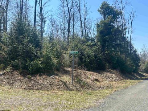 Photo of Lot 193 Florence Court, Davis, WV 26260 (MLS # 10159053)