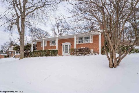 Photo of 648 Vista Place, Morgantown, WV 26505 (MLS # 10163220)