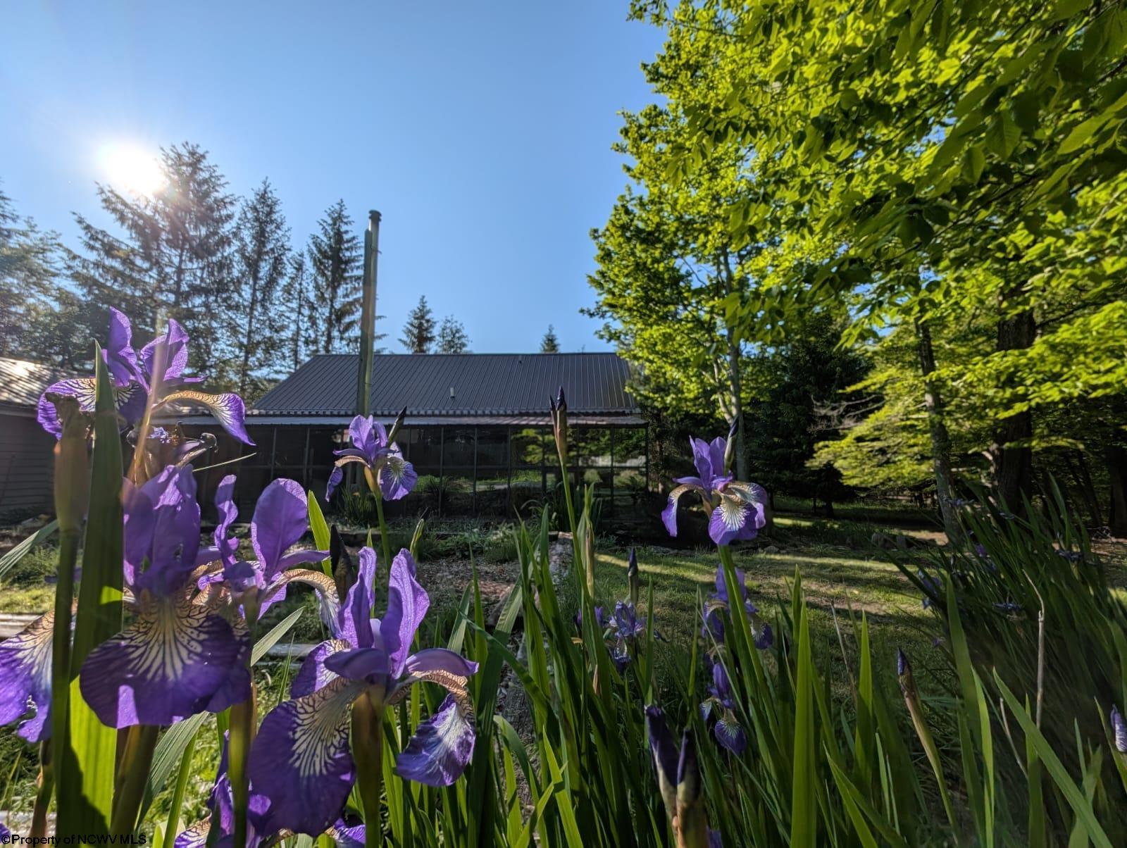 Davis, West Virginia 26260, United States, 4 Bedrooms Bedrooms, ,3 BathroomsBathrooms,Residential,Active,6702