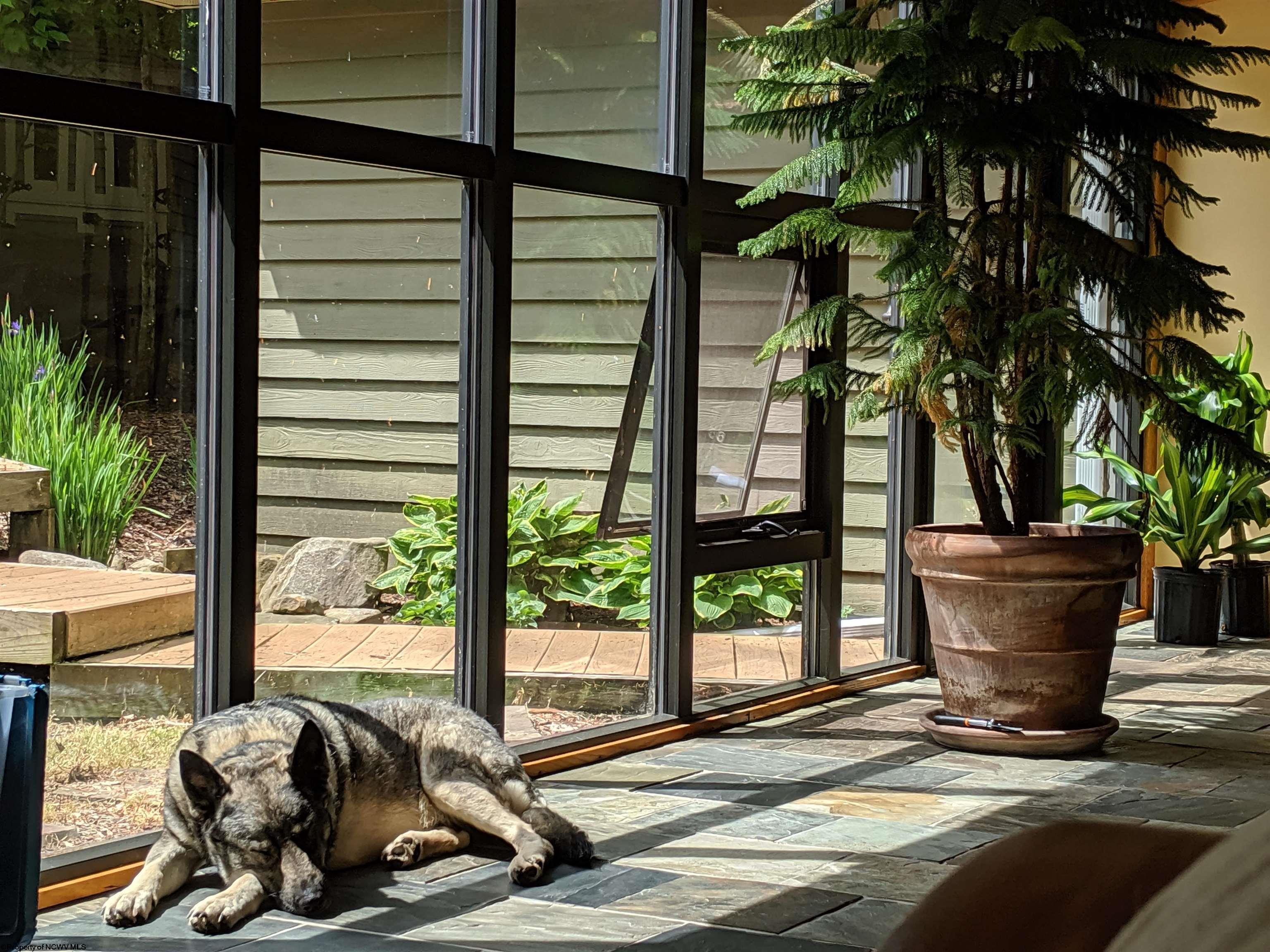 Davis, West Virginia 26260, United States, 4 Bedrooms Bedrooms, ,3 BathroomsBathrooms,Residential,Active,6702