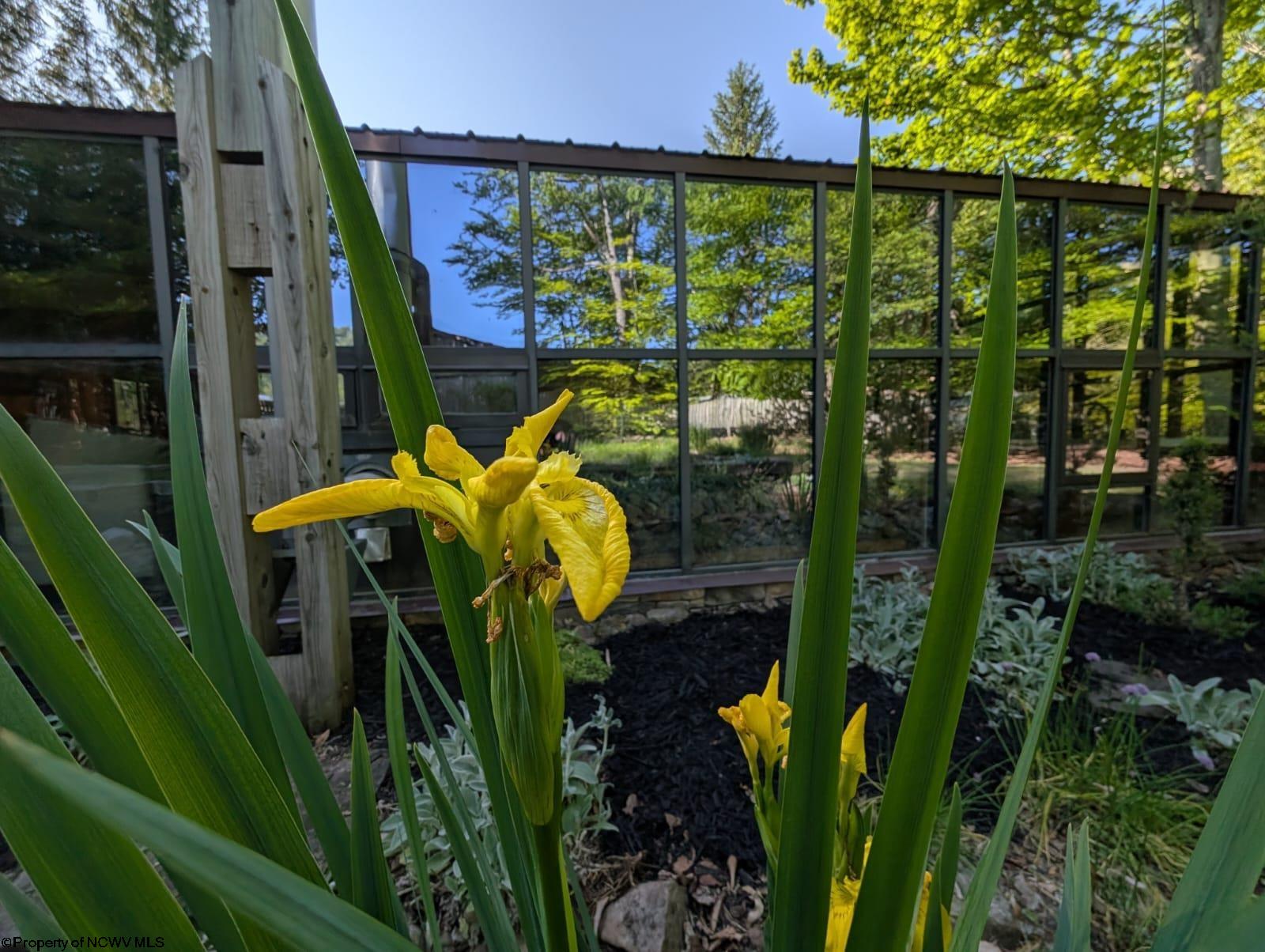 Davis, West Virginia 26260, United States, 4 Bedrooms Bedrooms, ,3 BathroomsBathrooms,Residential,Active,6702