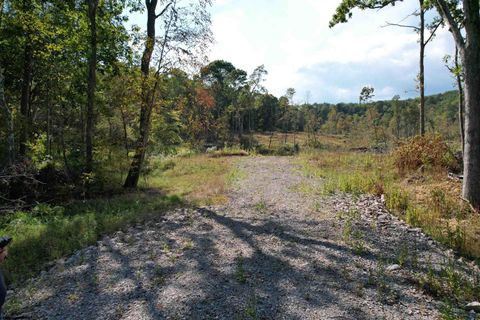 Photo of Lot 1-3 998 Hanlin Road, Bruceton Mills, WV 26525 (MLS # 10161579)