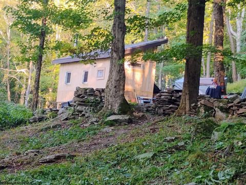 Photo of 1373 Rocky Road, Harman, WV 26270 (MLS # 10160370)