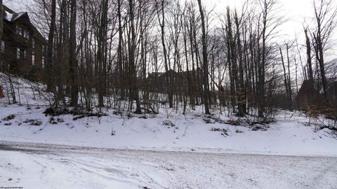 Photo of 45 Winterset Drive, Davis, WV 26260 (MLS # 10163785)