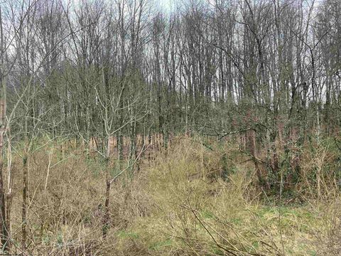 Photo of TBD Glassworks Road, Buckhannon, WV 26201 (MLS # 10163099)
