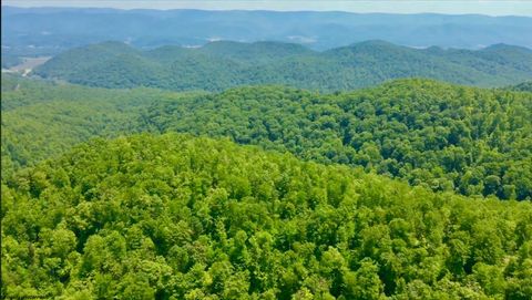 Photo of 4967 Rich Mountain Road, Mabie, WV 26278 (MLS # 10162994)