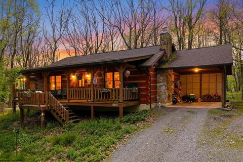 Photo of 37 Sorrel Court, Terra Alta, WV 26764 (MLS # 10164987)