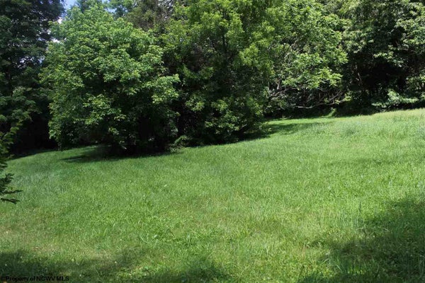 1 KNAPP ST, ELKINS, WV 26241 - Image d04d2beafb1ebec8f826bbf61d0d7b27/967657791