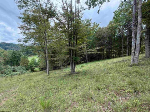 Photo of 000 Fawn Lane, Buckhannon, WV 26201 (MLS # 10166415)