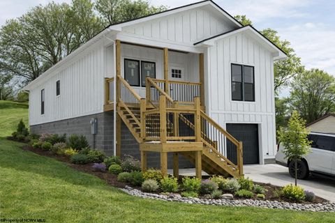 Photo of 336 Fifth Street, Davis, WV 26260 (MLS # 10161561)