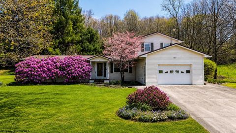 Photo of 857 Fishing Camp Road, Buckhannon, WV 26201 (MLS # 10164623)