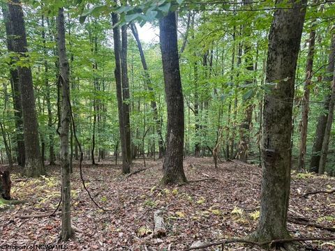 Photo of TBD Racoon Run, Elkins, WV 26241 (MLS # 10161926)