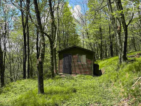 Photo of 1019 Thunderstruck Road, Harman, WV 26270 (MLS # 10164997)