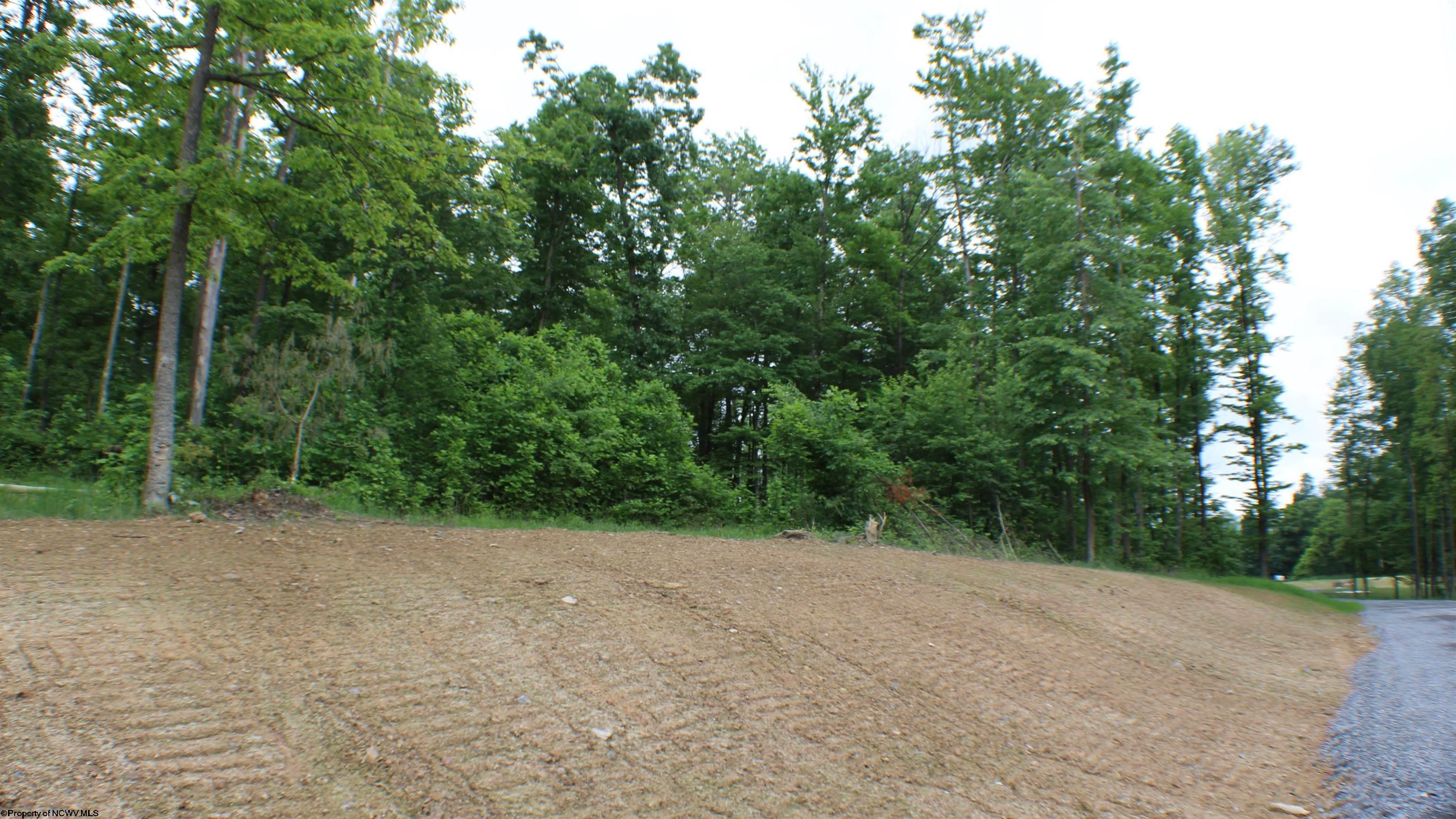 Photo 3 of 19 of Lot #11 Eagle Butte Way land