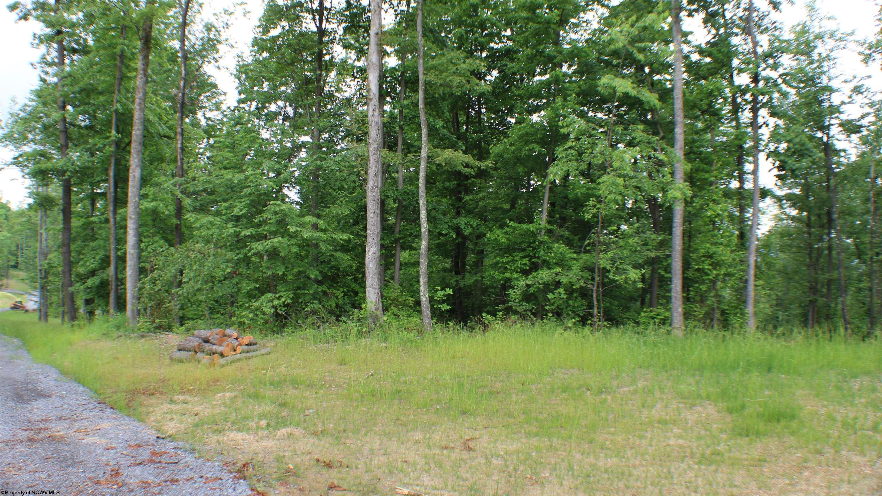 Photo 1 of 19 of Lot #11 Eagle Butte Way land